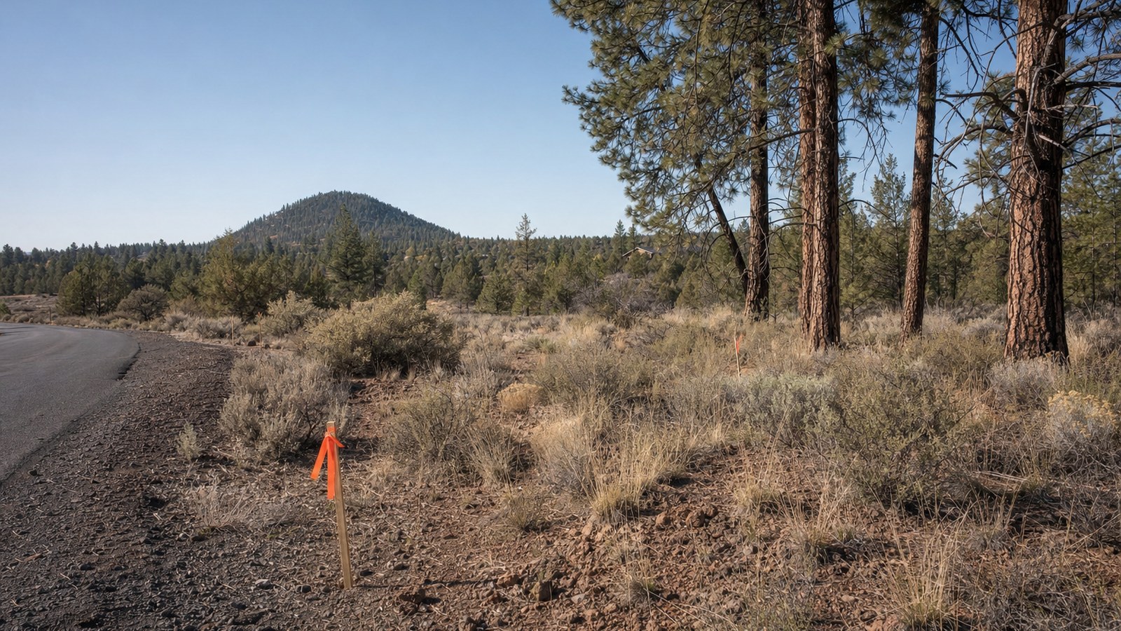 Vacant west side Bend lot with tall ponderosa pines, sagebrush and a gravel street edge, with a forested butte in the distance under a clear sky.